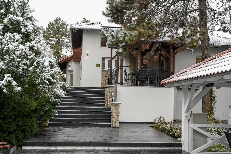 Villa Budapest Silver