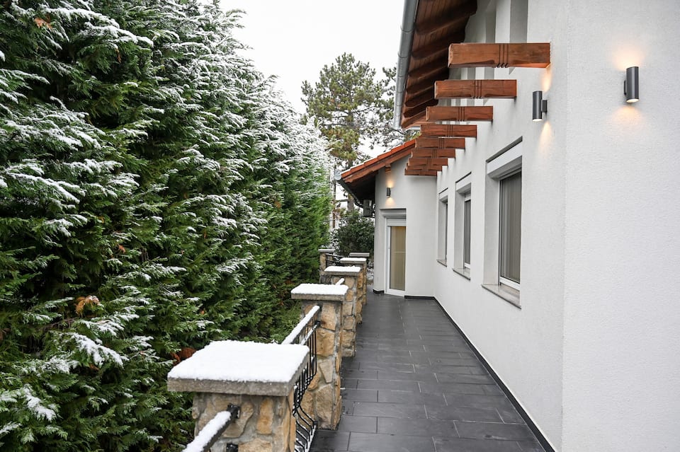 Villa Budapest Silver